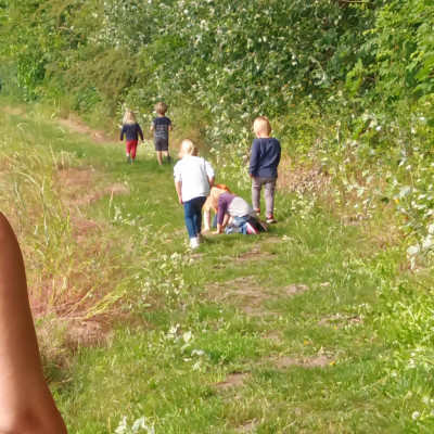 Waldspaziergang